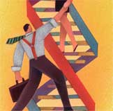 The Corporate Ladder as DNA